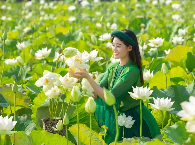 Hoa sen trắng gửi gắm tình cảm chân thành và sự trân trọng.